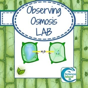 Osmosis Lab: Observing the Effects of Osmosis in Plant Cells