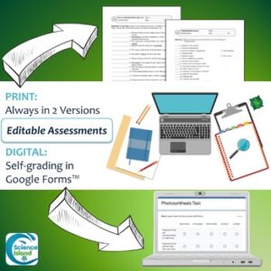 Photosynthesis Activities, Bell Ringers, and Assessments - Science Island