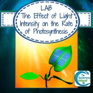 Photosynthesis Lab: The Effect of Light Intensity on the Rate of Photosynthesis