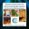Photosynthesis Lab: The Effect of Light Intensity on the Rate of Photosynthesis