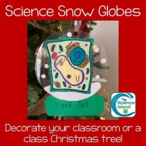 Science Snow Globe Ornaments - FREE RESOURCE