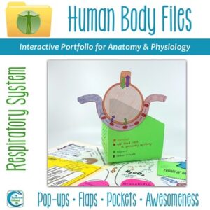 Respiratory System Human Body Files