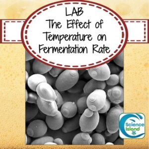Lab: The Effect of Temperature on the Rate of Fermentation