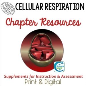 Cellular Respiration Supplements - Print and Digital