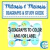 Mitosis and Meiosis Diagrams and Study Guide