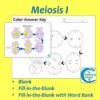 Mitosis and Meiosis Diagrams and Study Guide