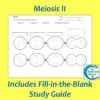 Mitosis and Meiosis Diagrams and Study Guide