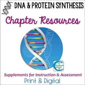 DNA and Protein Synthesis Supplements - Print and Digital