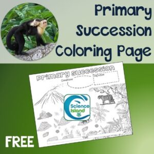 Primary Succession Coloring Page - FREE RESOURCE