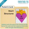 Cardiovascular System Human Body Files