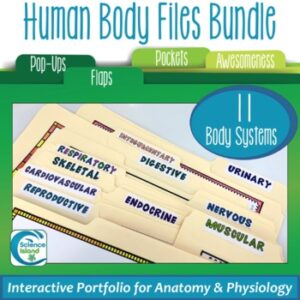 Human Body Files Bundle - Anatomy and Physiology Activities