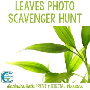 Leaf Characteristics Photo Scavenger Hunt - FREE RESOURCE
