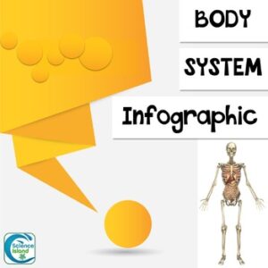 Body System Infographic Project (PPT and Google Slides) - FREE