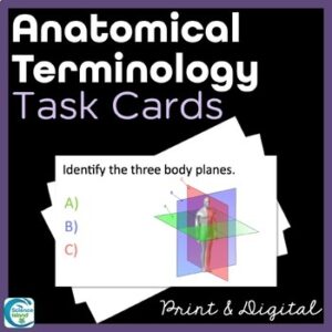Anatomical Terminology Task Cards - Anatomy and Physiology Activity