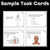 Anatomical Terminology Task Cards - Anatomy and Physiology Activity