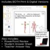 Anatomical Terminology Task Cards - Anatomy and Physiology Activity