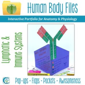 Lymphatic and Immune Systems Human Body Files Activity