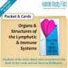 Lymphatic and Immune Systems Human Body Files Activity