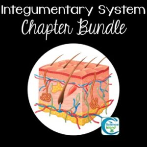 Integumentary System Chapter Bundle