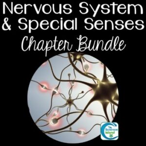 Nervous System Chapter Bundle
