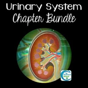 Urinary System Chapter Bundle