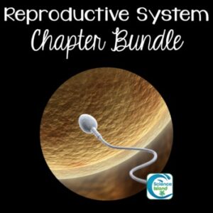 Reproductive System Chapter Bundle