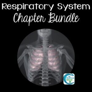 Respiratory System Chapter Bundle