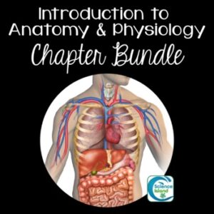Introduction to Anatomy & Physiology Chapter Bundle