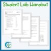 Sheep Kidney Dissection Lab