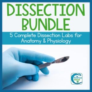 Dissection Bundle for Anatomy: Fetal Pig and Sheep Heart