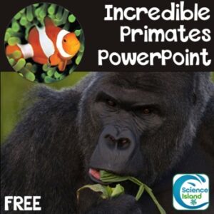 Primates PowerPoint FREE RESOURCE
