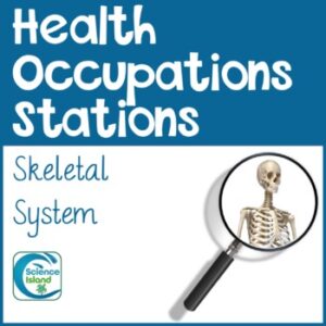 Health Occupations Stations - Skeletal System