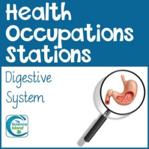 Health Occupations Stations - Digestive System