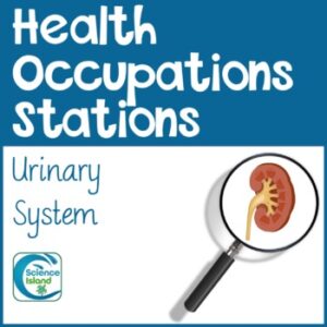 Health Occupations Stations - Urinary System