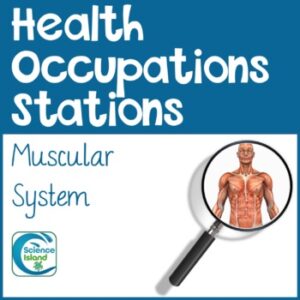 Health Occupations Stations - Muscular System
